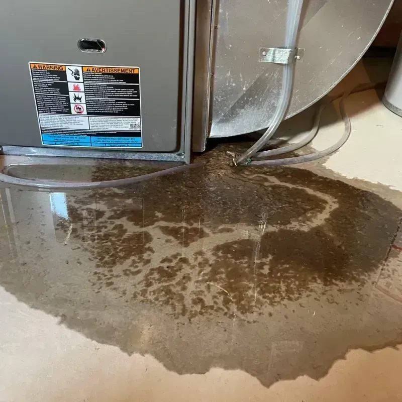 Appliance Leak Cleanup in San Bruno, CA